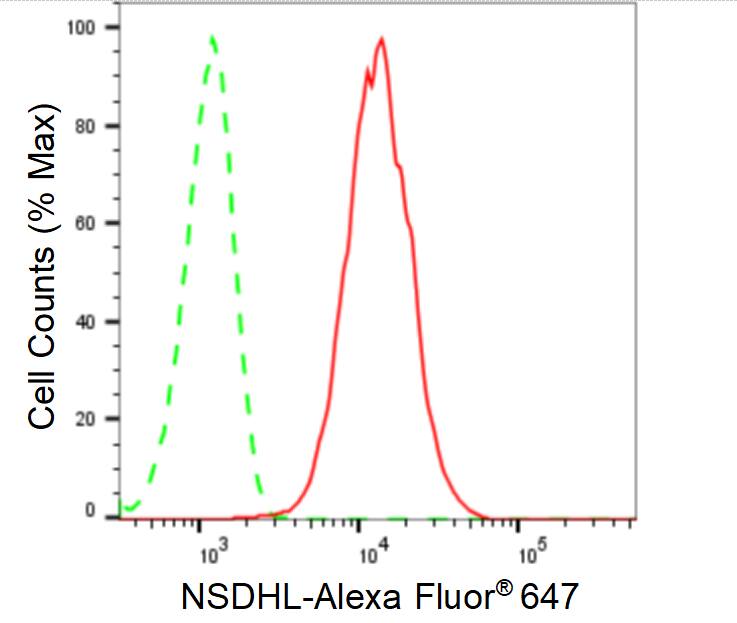 NSDHL Antibody (24GB485)