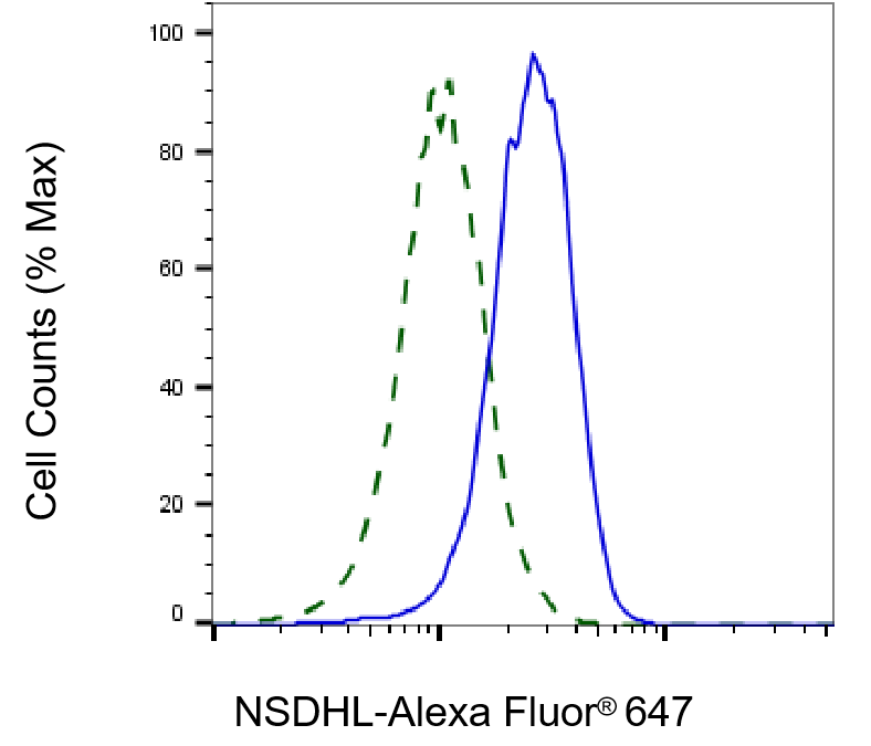NSDHL Antibody (24GB510)