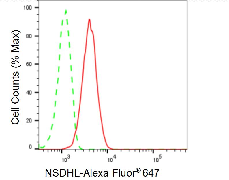 NSDHL Antibody (24GB510)