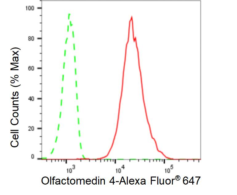 OLFM4 Antibody (24GB680)