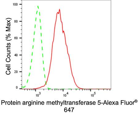 PRMT5 Antibody (24GB845)
