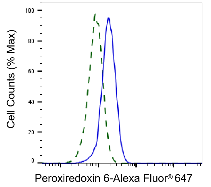 Peroxiredoxin 6 Antibody (24GB910)