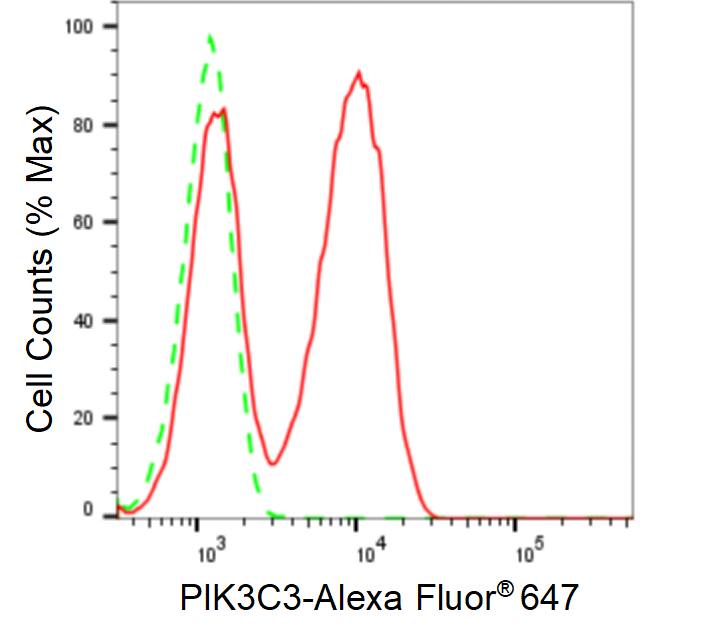 VPS34 Antibody (24GB1150)