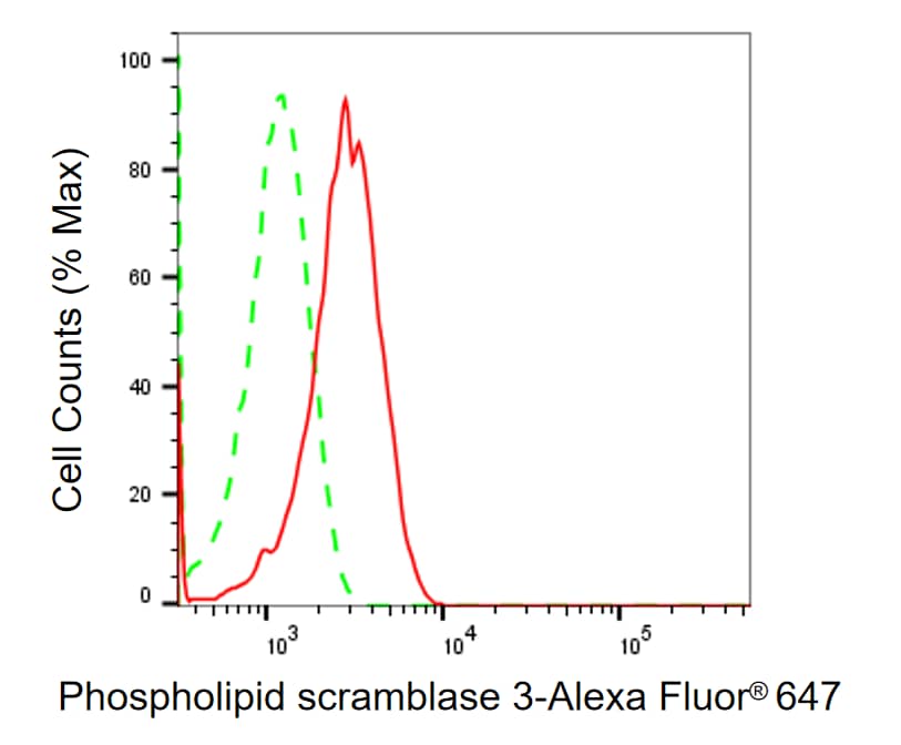 PLSCR3 Antibody (24GB1345)
