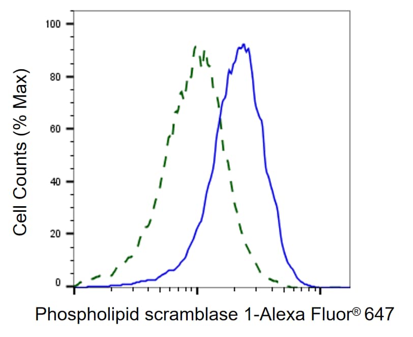 Phospholipid Scramblase 1/PLSCR1 Antibody (24GB1550)