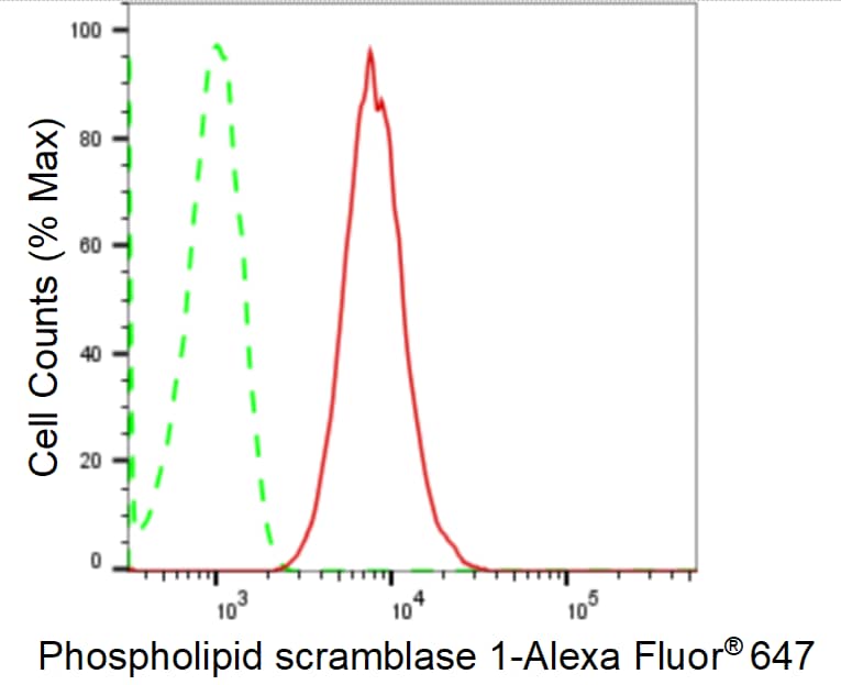 Phospholipid Scramblase 1/PLSCR1 Antibody (24GB1550)