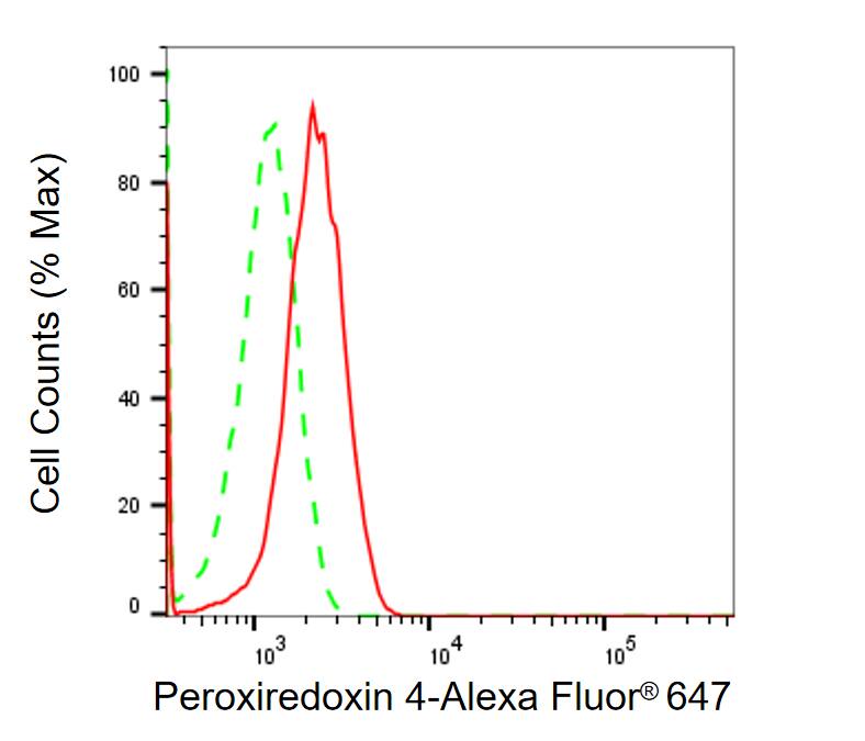 Peroxiredoxin 4 Antibody (24GB1570)