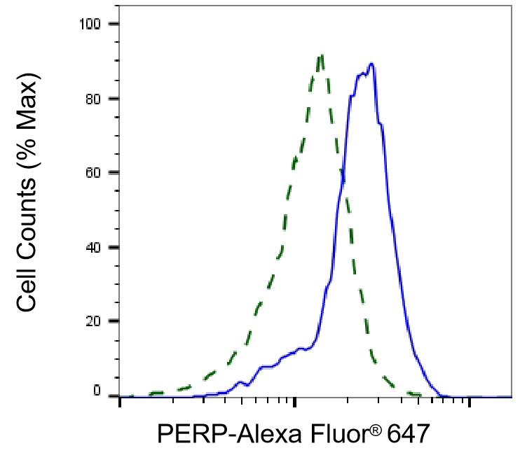 PERP Antibody (24GB1630)
