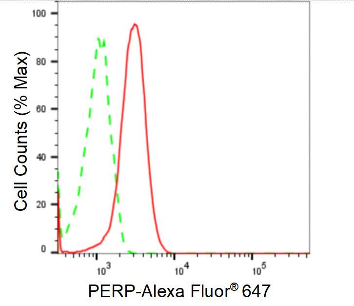 PERP Antibody (24GB1630)