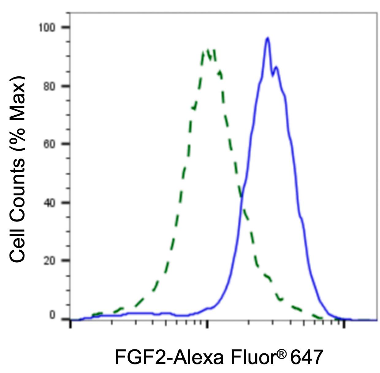 FGF basic/FGF2/bFGF Antibody (24GB4420)
