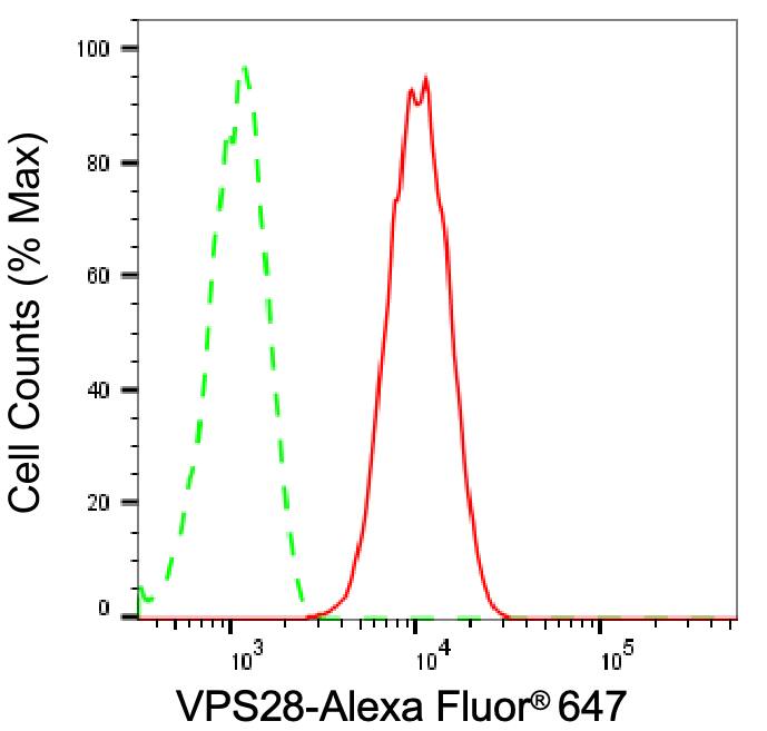 VPS28 Antibody (24GB1755)