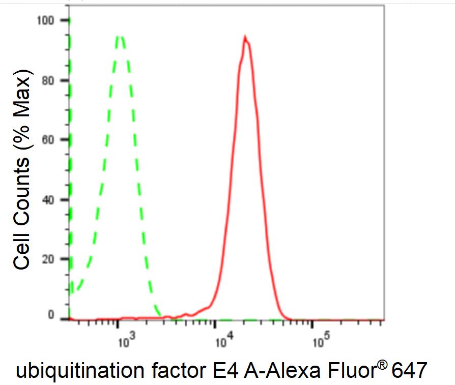 UBE4A Antibody (24GB1785)
