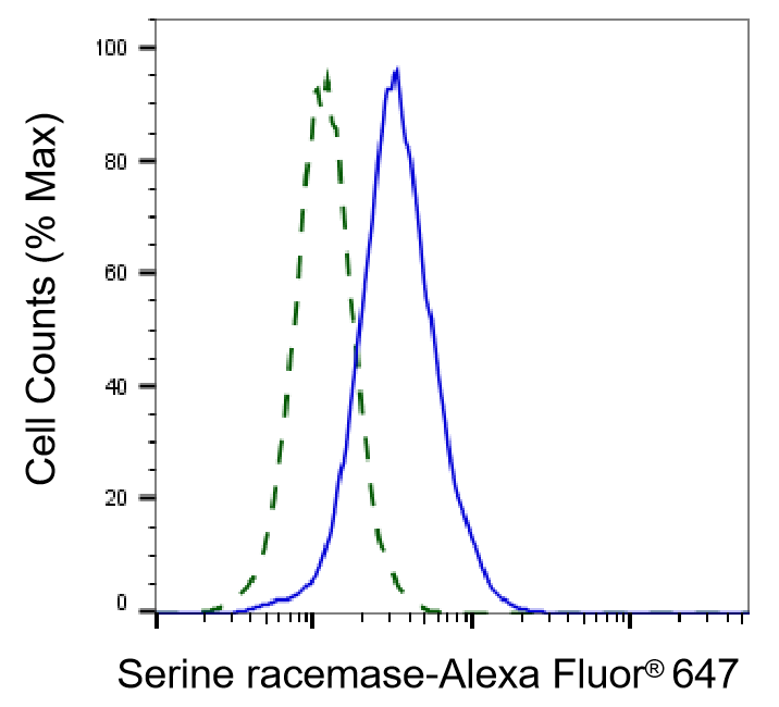 Serine racemase Antibody (24GB2345)