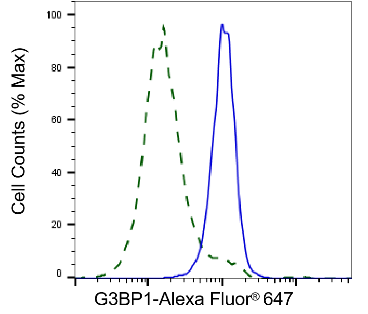 G3BP1 Antibody (24GB4575)