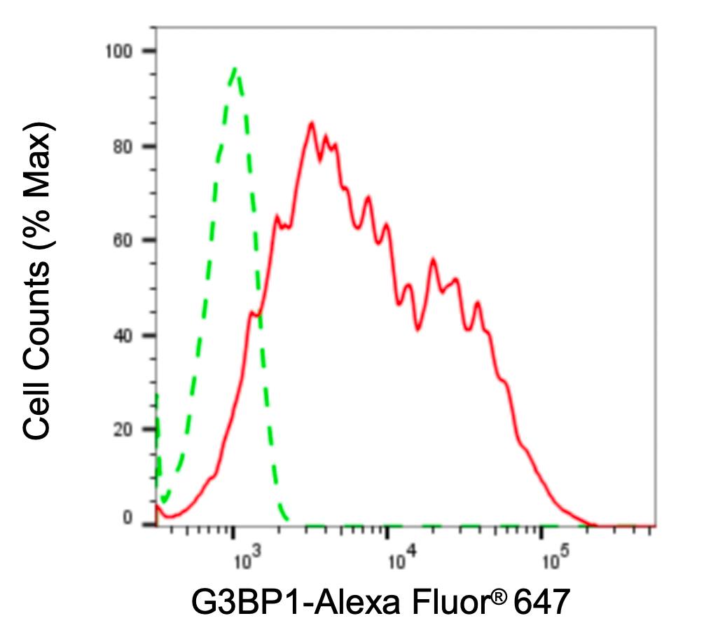 G3BP1 Antibody (24GB4575)