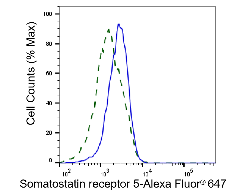 Somatostatin R5/SSTR5 Antibody (24GB2600)