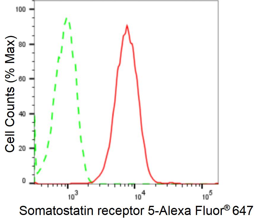 Somatostatin R5/SSTR5 Antibody (24GB2600)