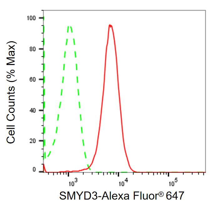 SMYD3 Antibody (24GB2260)