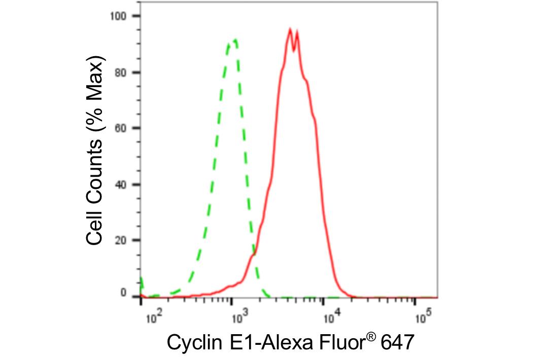 Cyclin E1 Antibody (24GB4745)