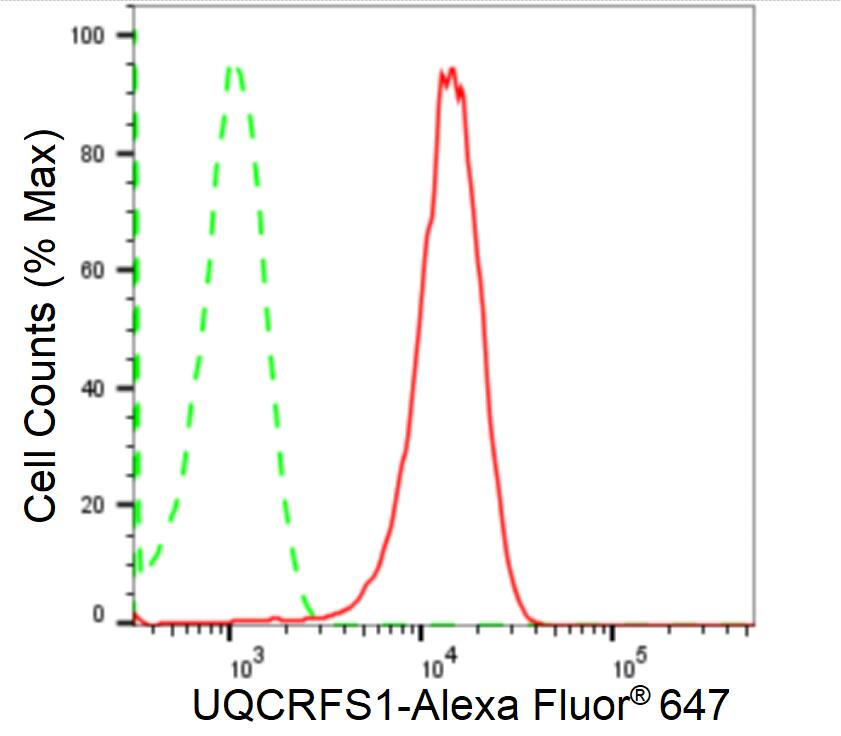 UQCRFS1 Antibody (24GB2460)