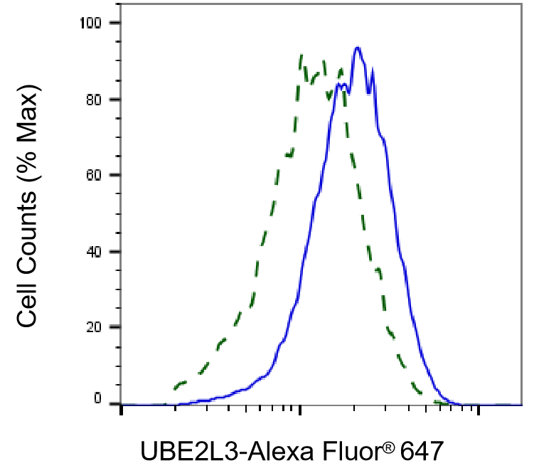 UbcH7/UBE2L3 Antibody (24GB1875)