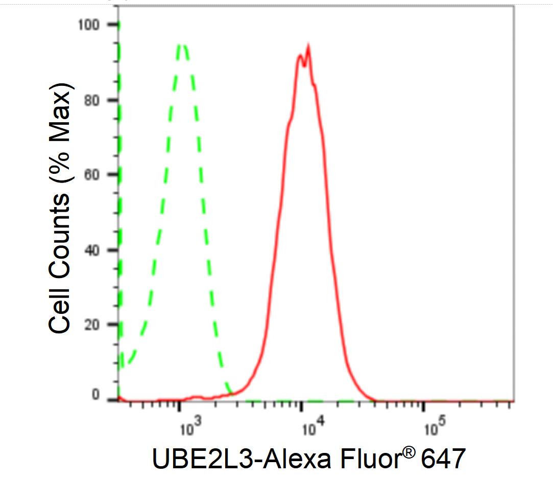 UbcH7/UBE2L3 Antibody (24GB1875)
