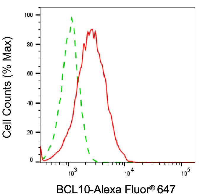 Bcl-10 Antibody (24GB2925)