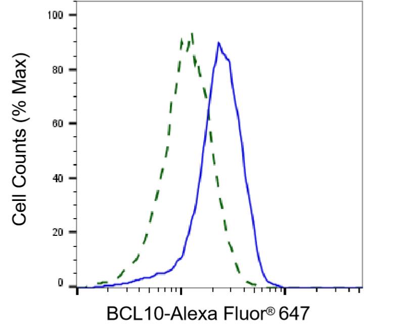 Bcl-10 Antibody (24GB2925)