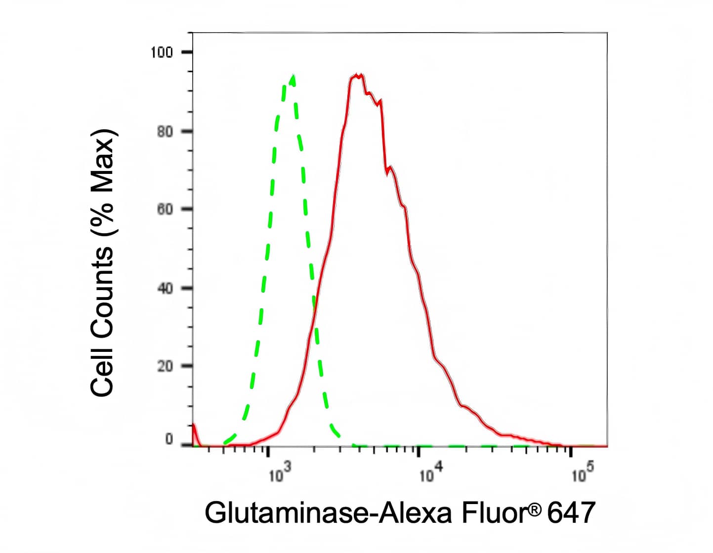 Glutaminase Antibody (23GB1720)