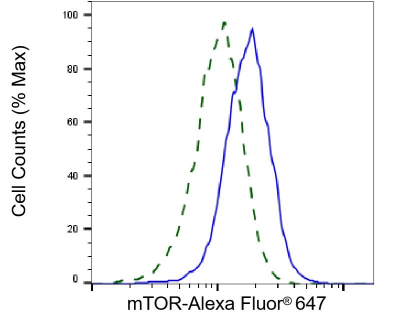 TOR/mTOR Antibody (24GB3755)