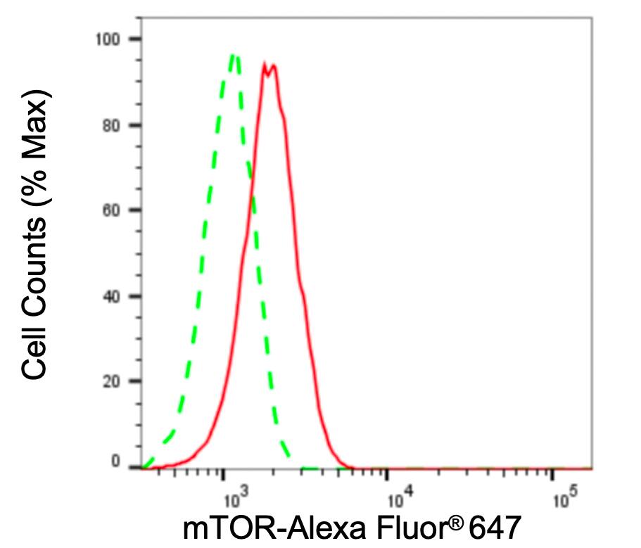 TOR/mTOR Antibody (24GB3755)