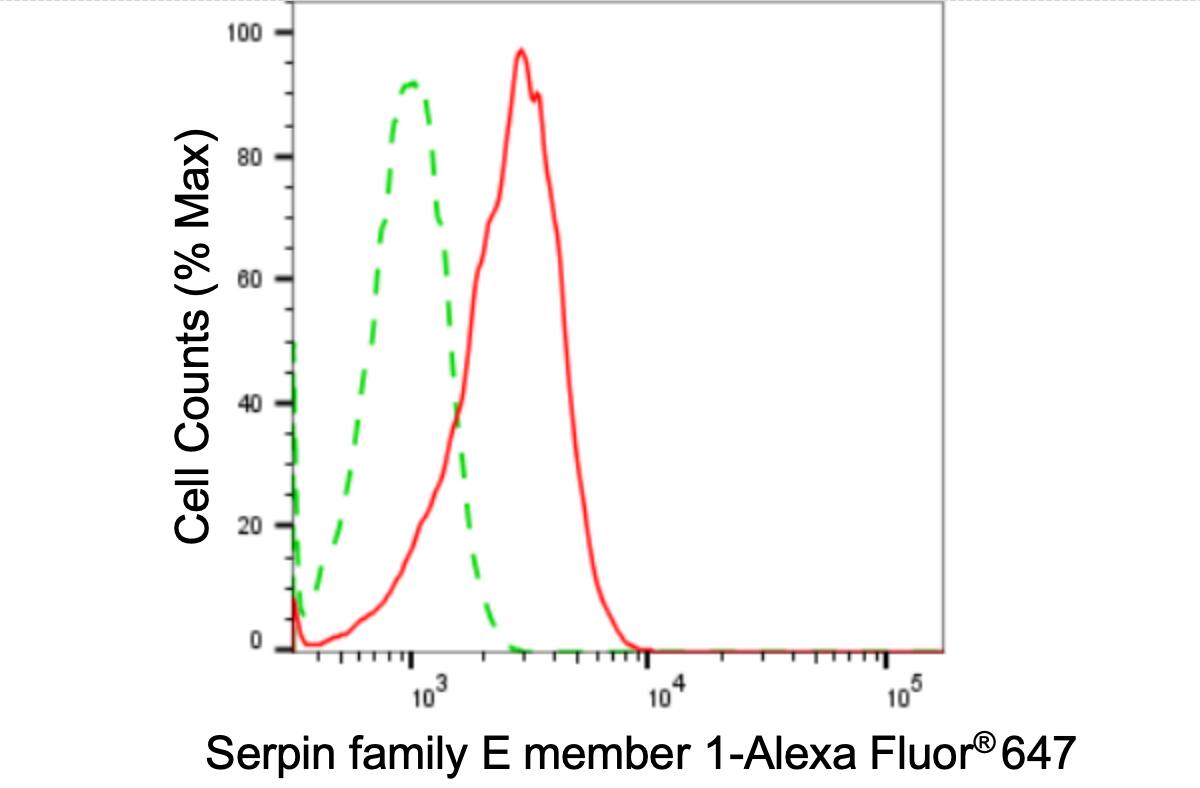 Serpin E1/PAI-1 Antibody (24GB4055)