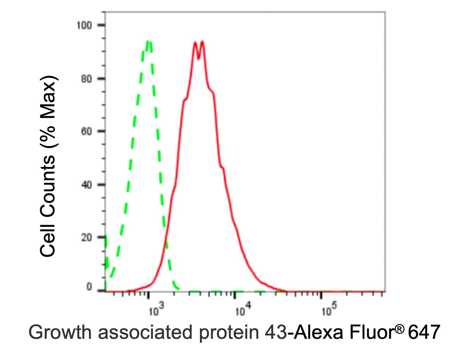 GAP-43 Antibody (23GB1195)