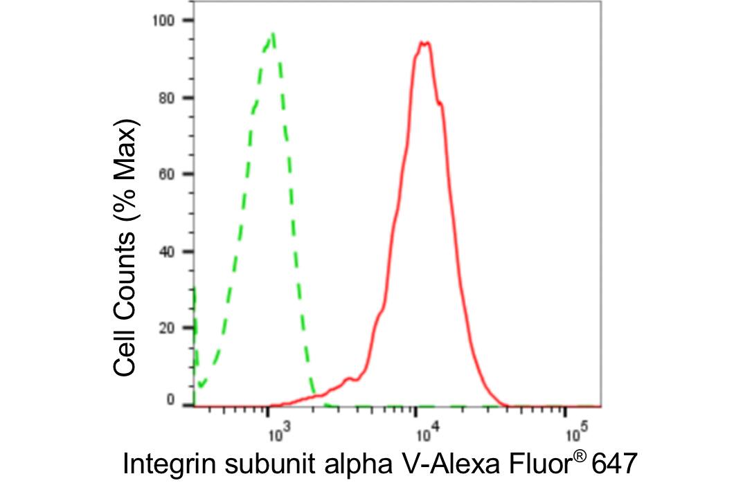 Integrin alpha V/CD51 Antibody (24GB4435)