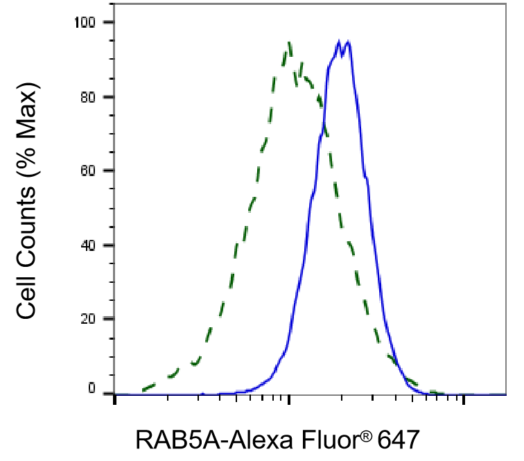 Rab5a Antibody (24GB4520)