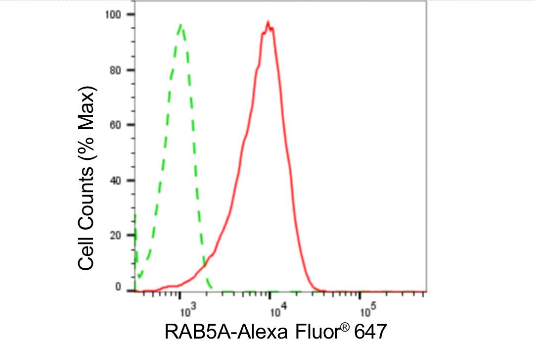 Rab5a Antibody (24GB4525)