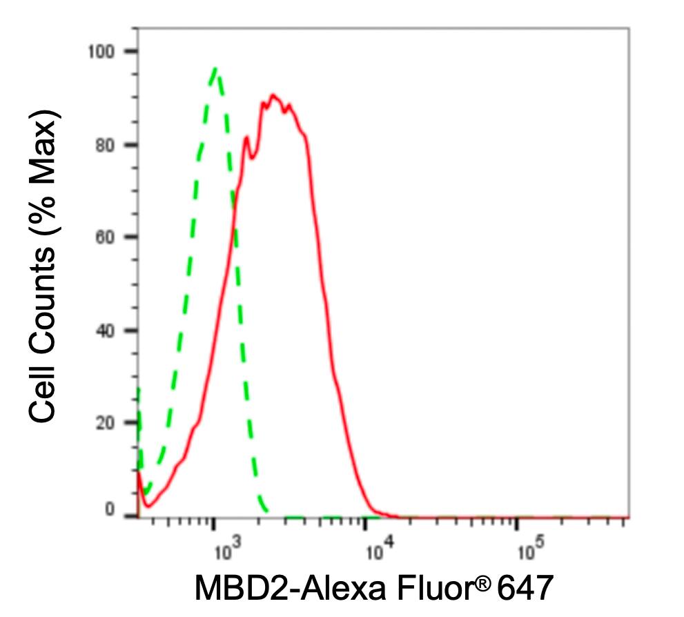 MBD2 Antibody (24GB4570)