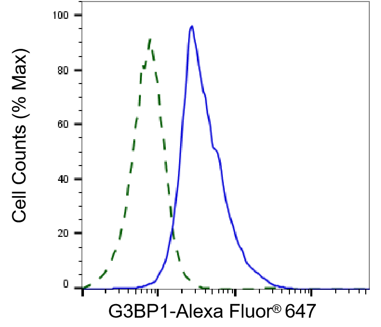 G3BP1 Antibody (24GB4580)