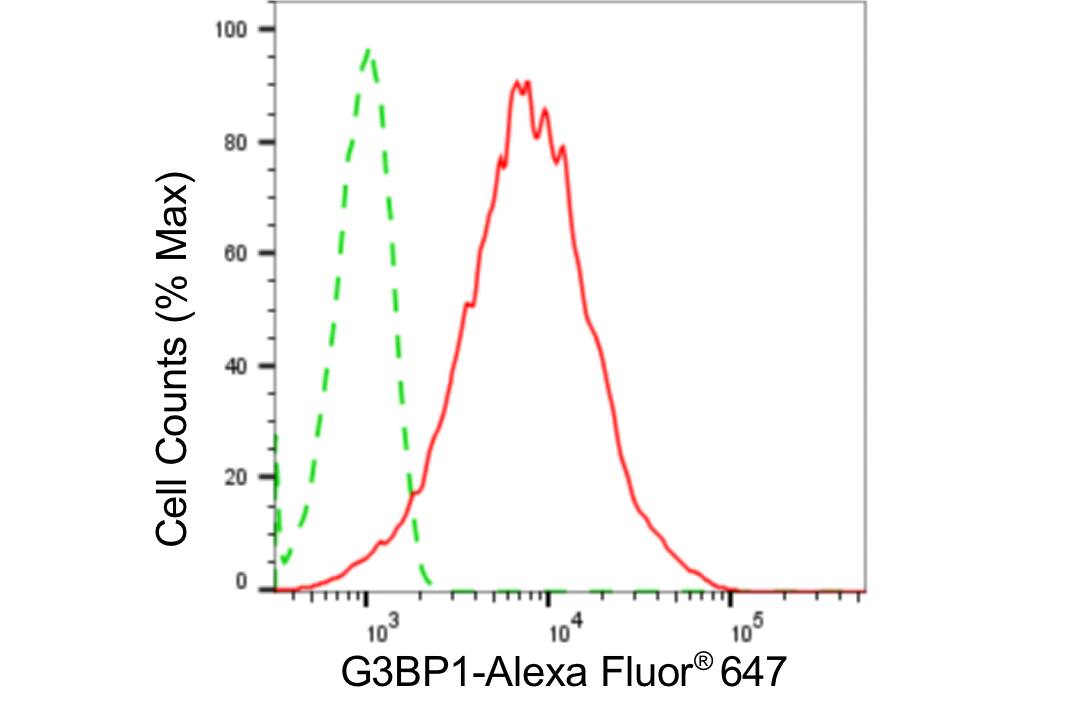 G3BP1 Antibody (24GB4580)