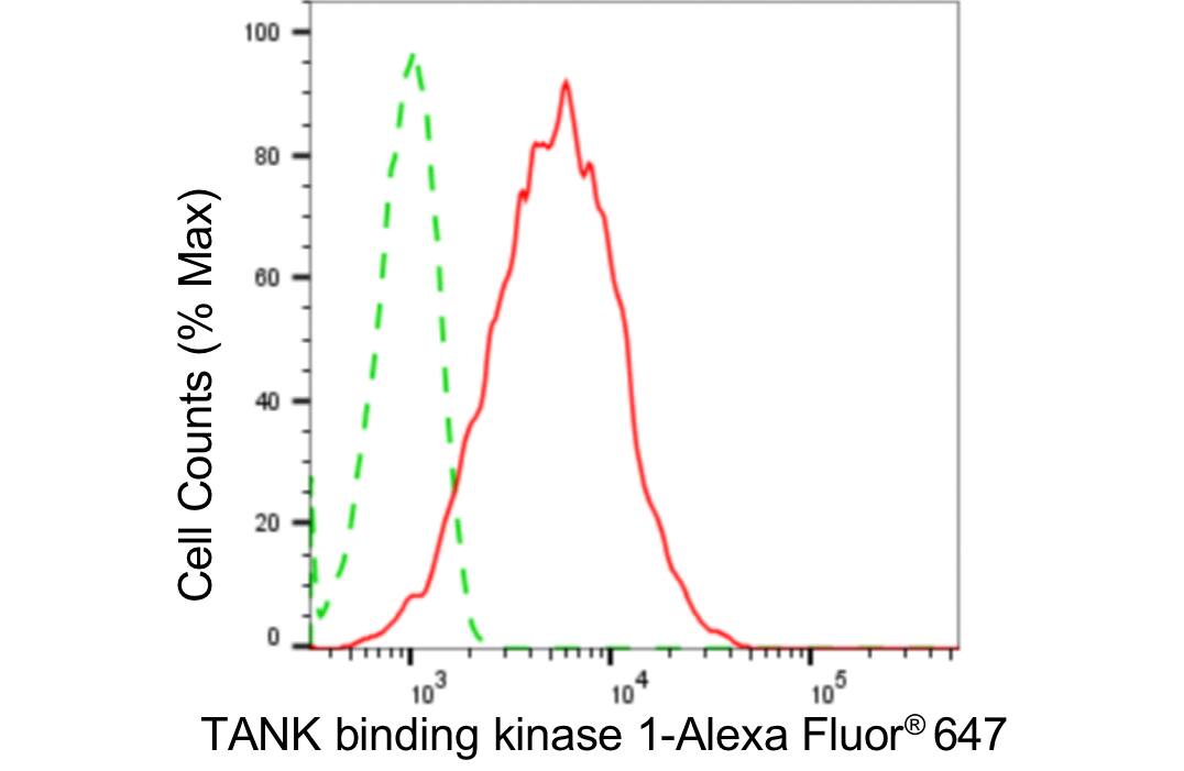 TBK1 Antibody (24GB4645)