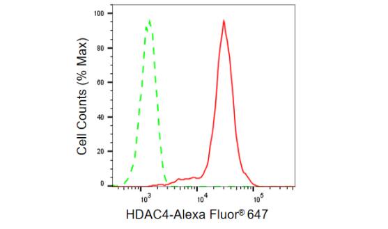Histone Deacetylase 4/HDAC4 Antibody (23GB865)