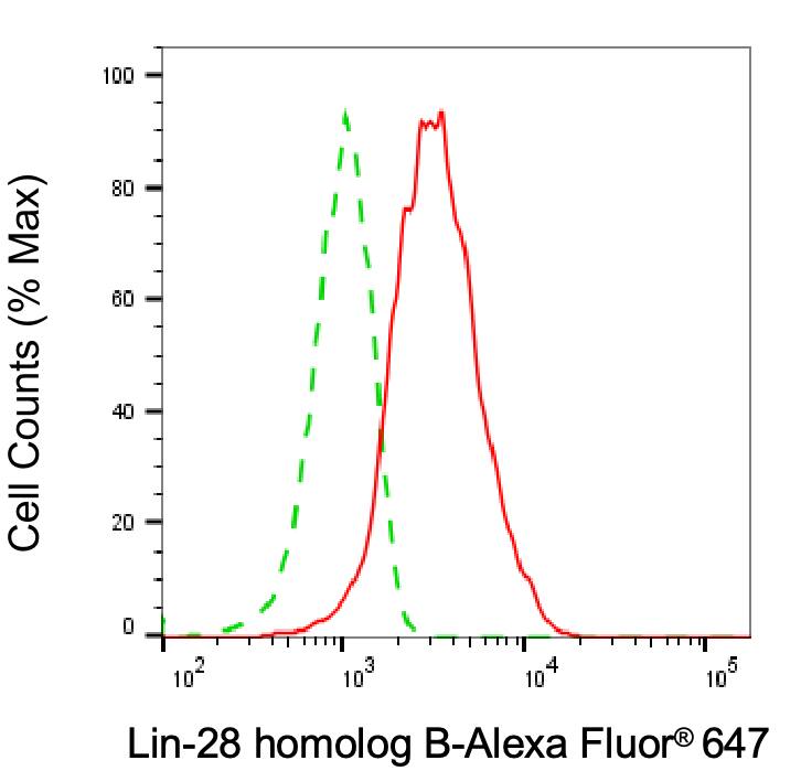 LIN-28B Antibody (24GB7210)
