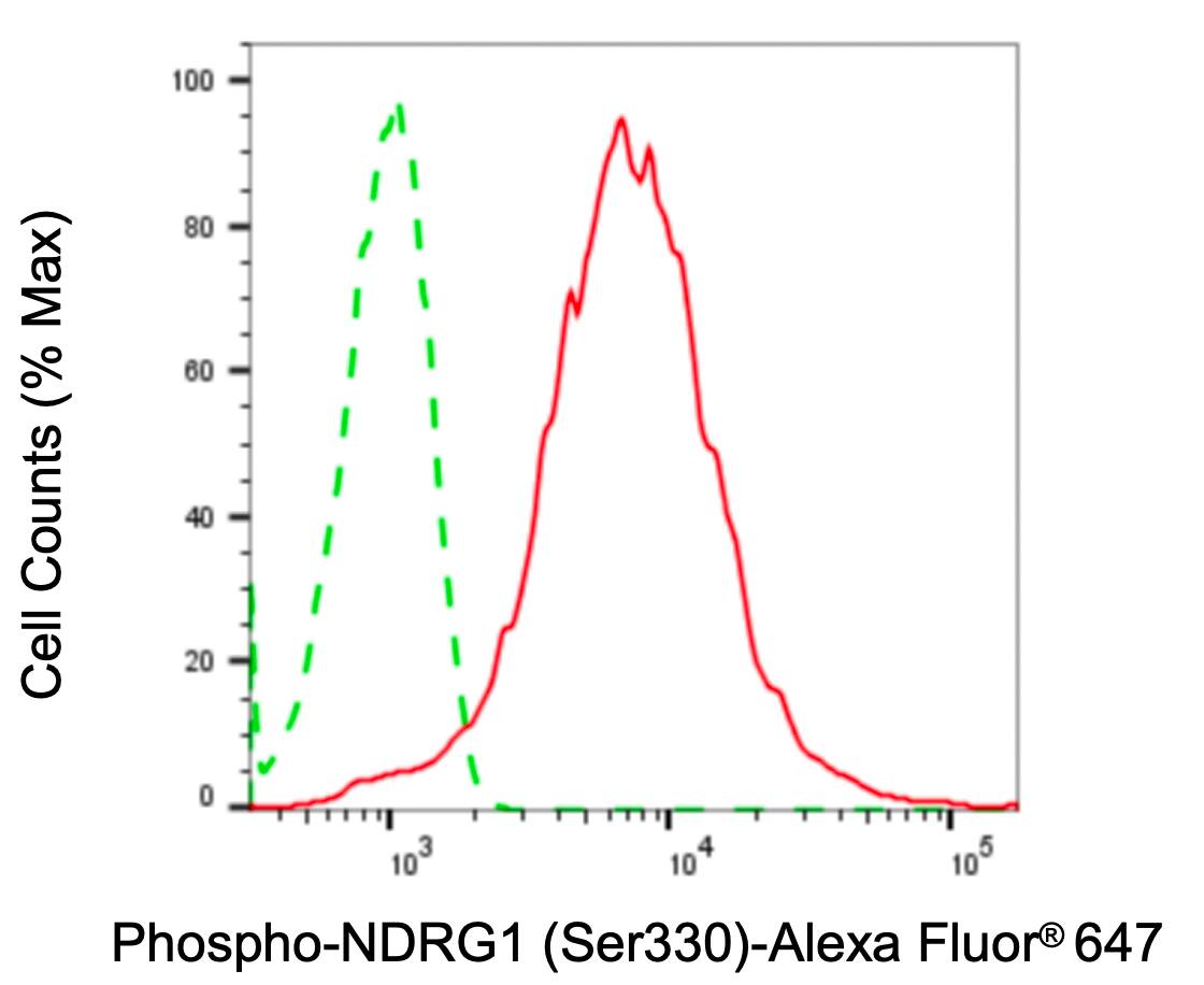 NDRG1 [p Ser330] Antibody (24GB4985)