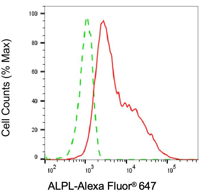 Alkaline Phosphatase/ALPL Antibody (24GB5855)