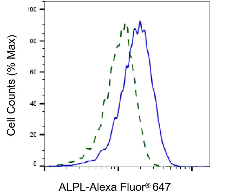Alkaline Phosphatase/ALPL Antibody (24GB5855)