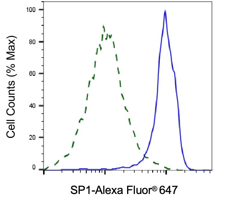 SP1 Antibody (24GB7095)