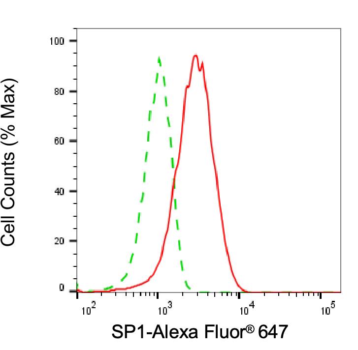 SP1 Antibody (24GB7095)