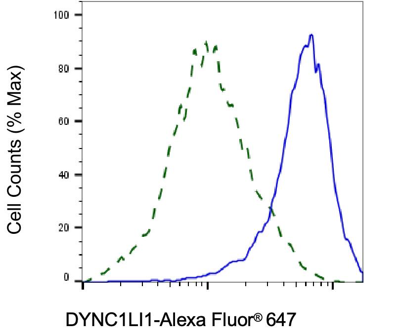 DYNC1LI1 Antibody (24GB8110)