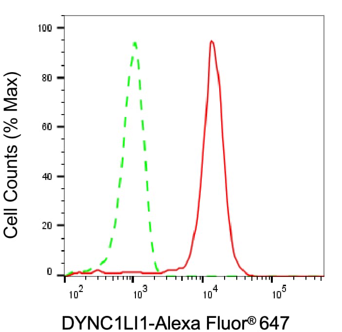 DYNC1LI1 Antibody (24GB8110)
