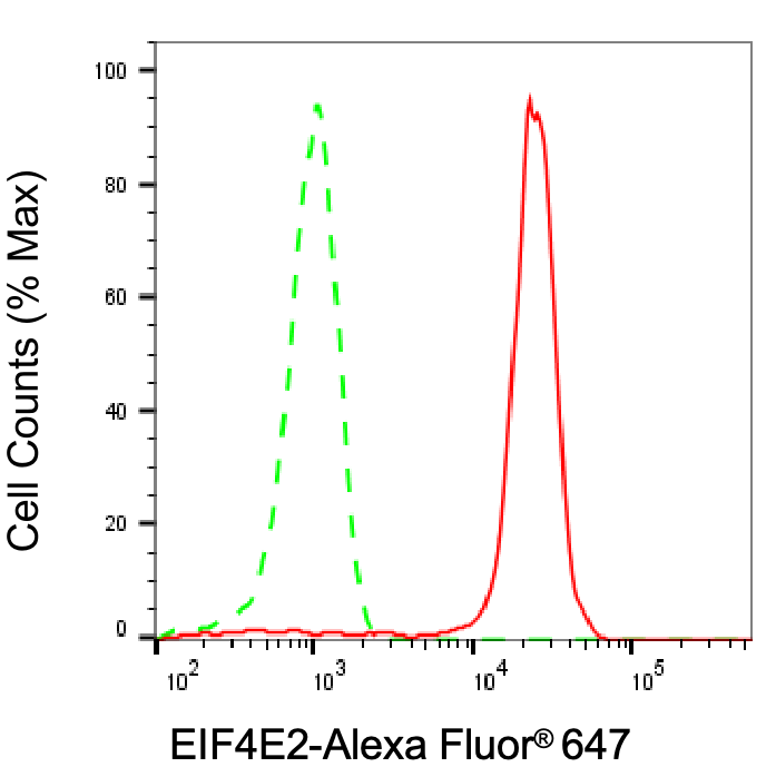 EIF4E2 Antibody (24GB8140)